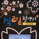 소죽도 Daum카페
