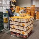 화개악양농협 악양지점 이미지