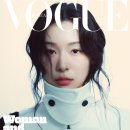 스킨보그 이미지