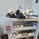 화양로 | 데이트 코스 추천! 수원 고양이 카페 | 냥보고심쿵 | 방문 후기