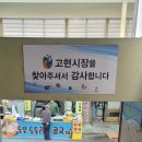 사계절왕호떡 | 경남 거제도 여행 고현시장 추천 맛집 코스 주차장 정보