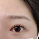 양덕동262 | 마산 속눈썹펌 추천 양덕동 “클래시”