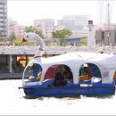 한강오리 이미지