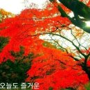 최고의 인기각설이 🍁가을이품바🍁 이미지