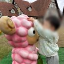 나들농장 | 두돌 아기랑 서울 근교 나들이 안성팜랜드 후기