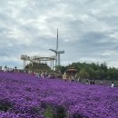 신원면 과정리 이미지