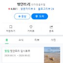 멍얀트리 이미지