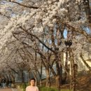 찬양공인중개사사무소 이미지