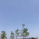 여주 월송동베이커리카페 ‘니드베이커리 앤 브런치‘ 후기