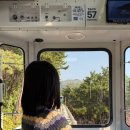 해운대구 상설할인타운 | 해운대 블루라인파크 해변열차 캡슐 예약 할인 방법 바로 앞 카페 후기