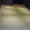 보용만두 이미지