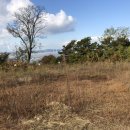 대부도 바닷가펜션 이미지