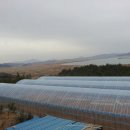 우주농장 이미지