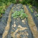 불암농장 이미지