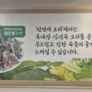 천연애(동래점) 이미지