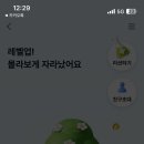 케이-닭강정 이미지