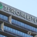 김동현세무회계 이미지