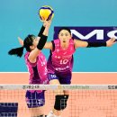 흥국생명 이미지