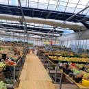 인수다육 이미지