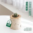 리미츄