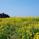 주상희행정사사무소 네이버블로그