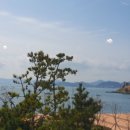 라세나헤어