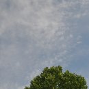 대전둘레산길(8구간) | 대전둘레산길 3번째 - 8구간 우산봉길