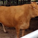 축협수퍼 이미지