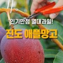 진도청과 이미지