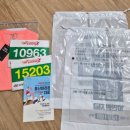 10 | 2025년 울산마라톤 대회 10km 후기
