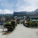 웅동시장 | 2025년 4월: 안녕, 한국.