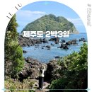 향토농장2 | 제주도 2박3일 여행지 웹플로우 팸투어 제주여행 코스 후기