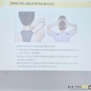서서울농업협동조합 노동조합 | [연수]2026 하계 서울 초등 1급 정교사 자격연수 후기