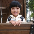 홍은택 카카오 검색결과