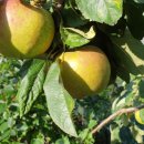 학당농장 이미지