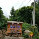 홍천염소맛집