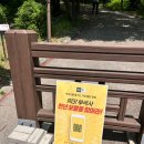 영주 여행 1일-1 순흥전통묵집 부석사 여우생태관찰원 붉은 여우