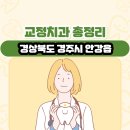 김형수치과의원 | 경상북도 경주시 안강읍 교정치과 총정리