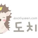 Healthy Cat 이미지