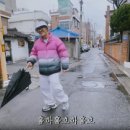 스시해일