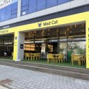 감자캣 | [동탄/맛집] 매드캣 😻