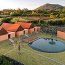 선셋티아 이미지