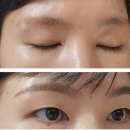펄미에이트 이미지