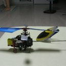 살랑더테일 이미지