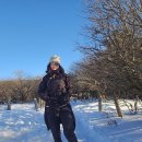 한라산백록담 이미지