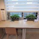 논현2동-6 이미지