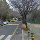 남산레포츠공원 이미지