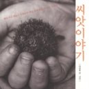 씨앗이야기 이미지