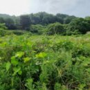 낭산면-1 이미지