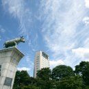 현대특수사료(주) 이미지